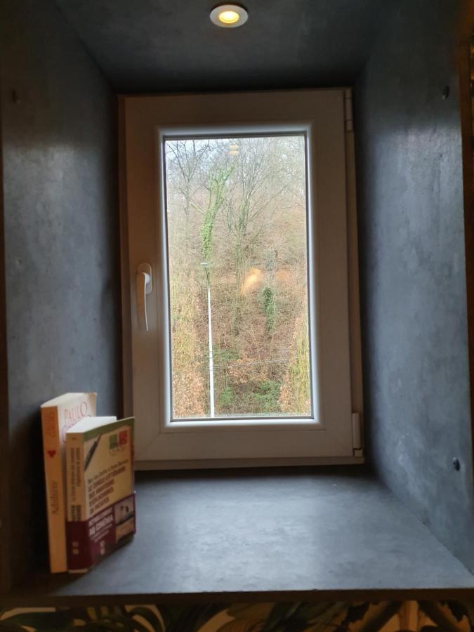 Vue Sur Meuse Apartman Profondeville Kültér fotó